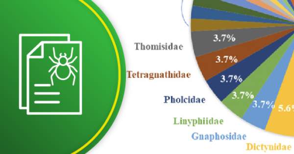Riqueza y abundancia de arañas (Arachnida Araneae) en ambientes